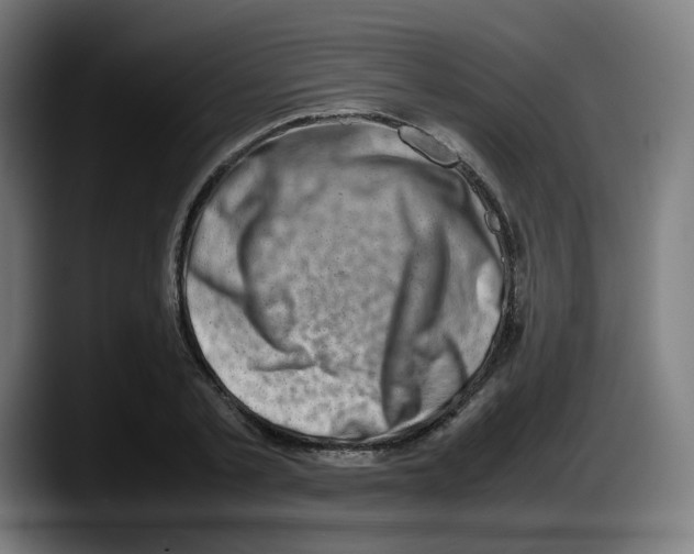 X0000087600789200705251921