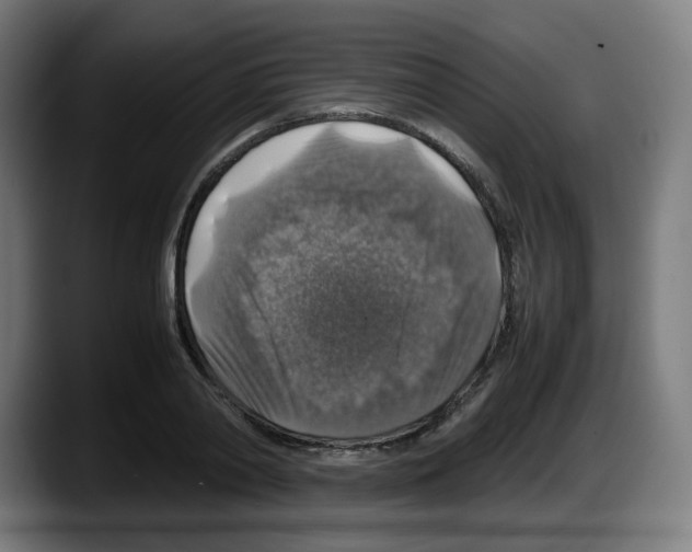 X0000087600790200705251921