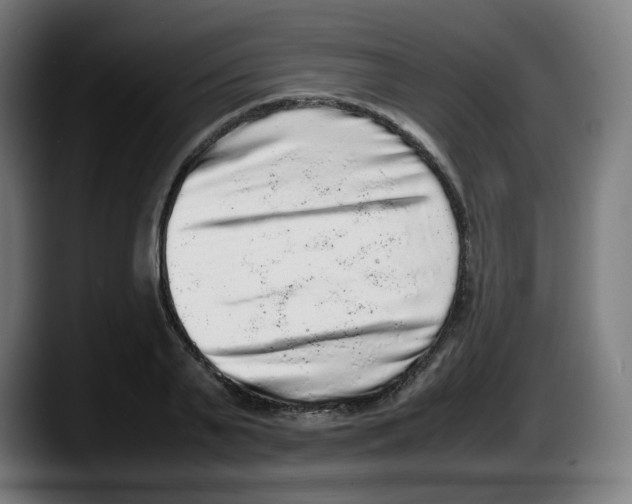 X0000087600791200705251921