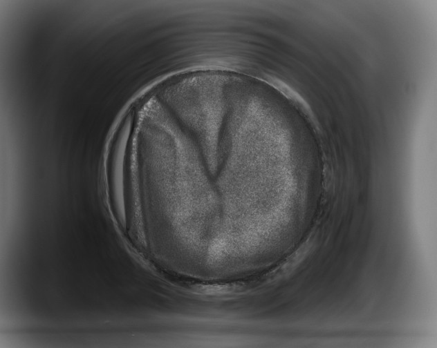 X0000087600792200705251921