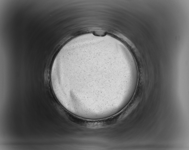 X0000087600793200705251921