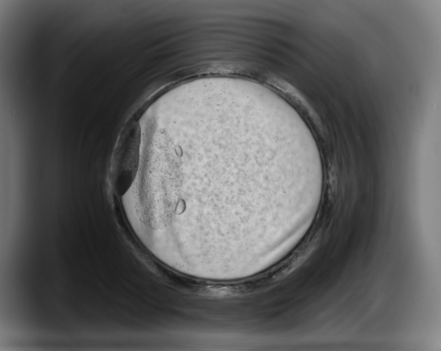 X0000087600794200705251921