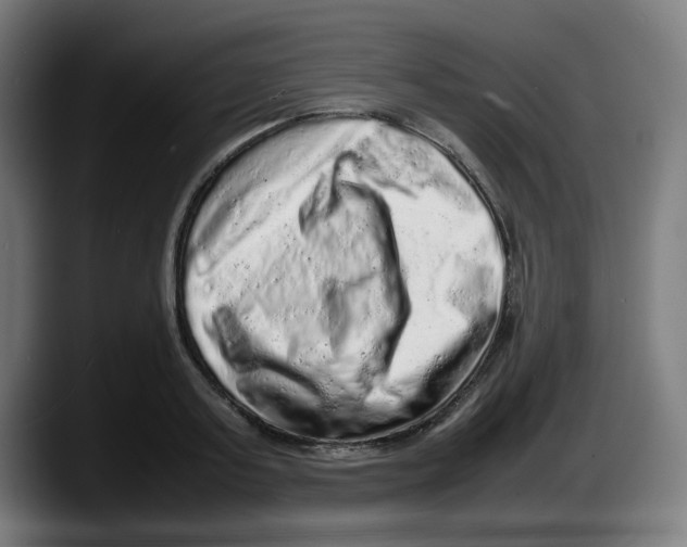 X0000087600795200705251921