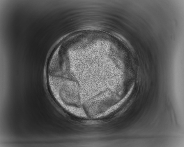 X0000087600796200705251921