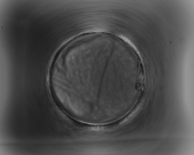 X0000087600797200705251921