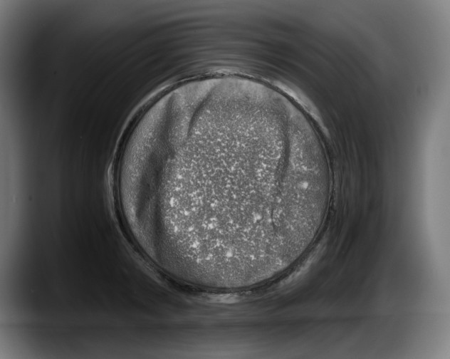 X0000087600798200705251921