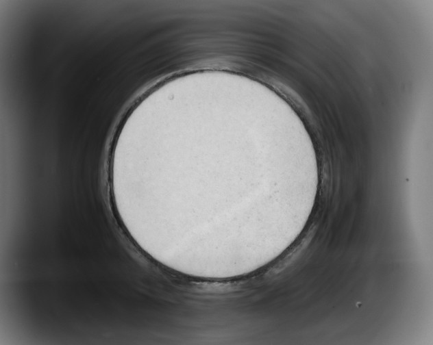 X0000087600800200705251921