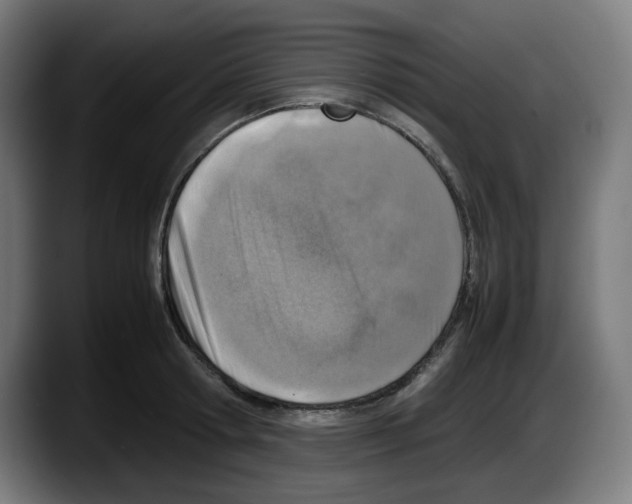 X0000087600802200705251921