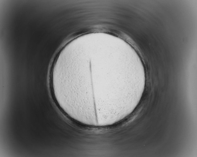 X0000087600803200705251921