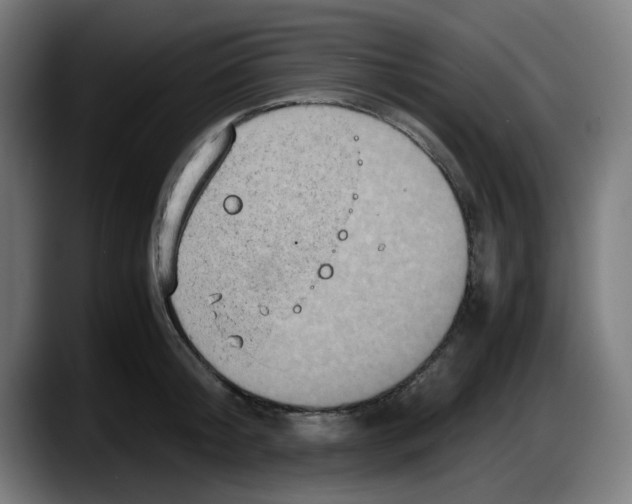 X0000087600804200705251921