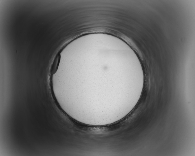 X0000087600805200705251921