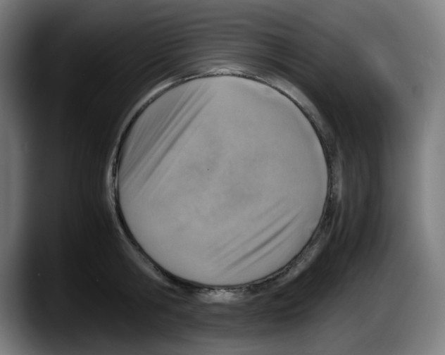 X0000087600806200705251921