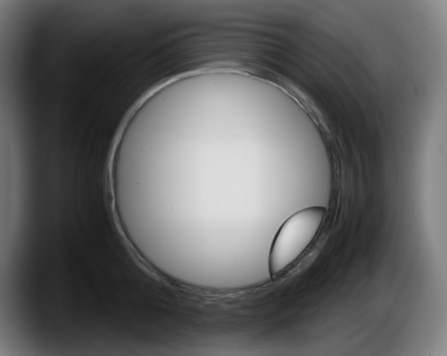 X0000087600808200705251921