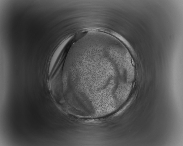 X0000087600809200705251921