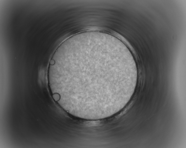 X0000087600810200705251921