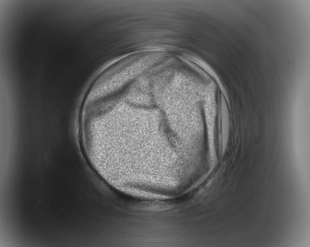 X0000087600811200705251921