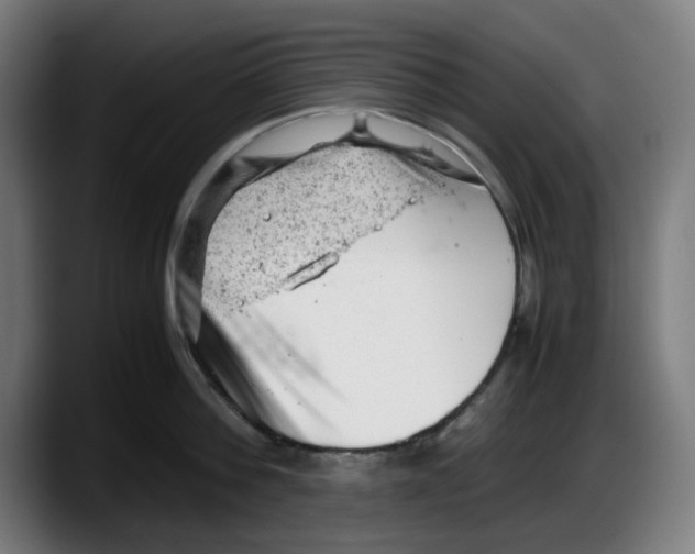 X0000087600812200705251921