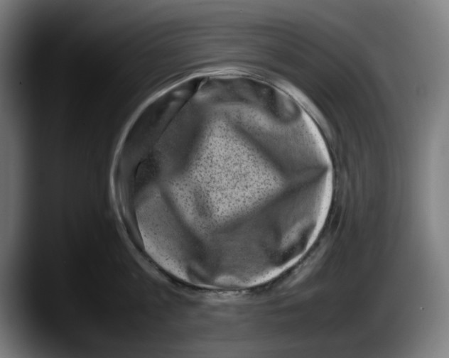 X0000087600813200705251921