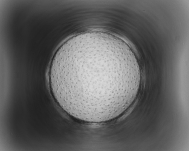 X0000087600814200705251921