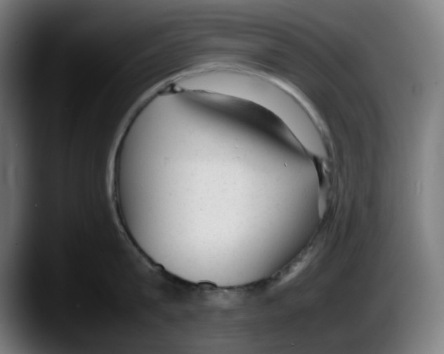 X0000087600815200705251921