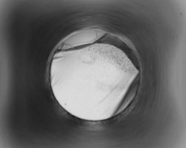 X0000087600816200705251921