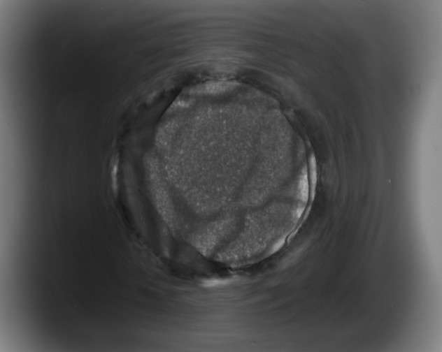 X0000087600818200705251920