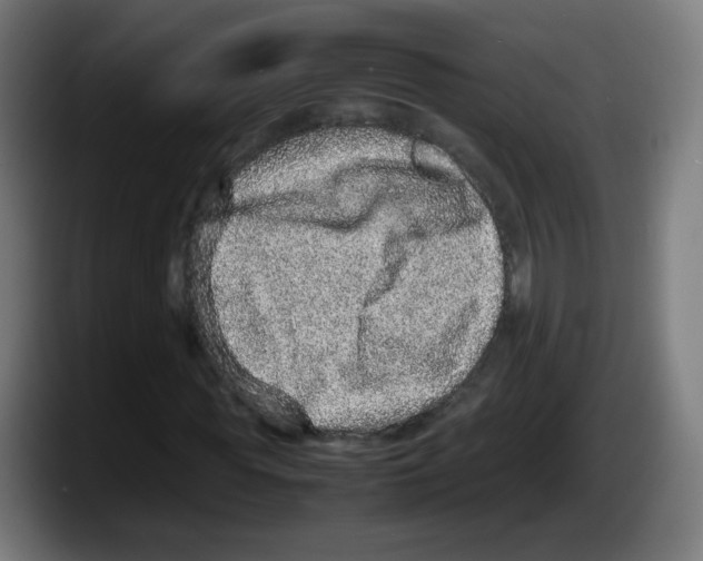 X0000087600819200705251920