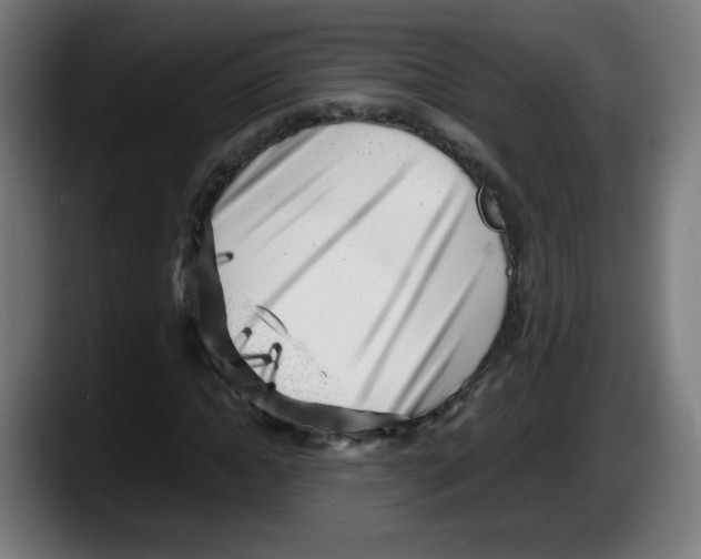 X0000087600822200705251920