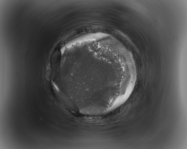 X0000087600823200705251920