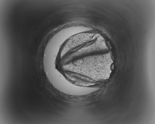 X0000087600824200705251920