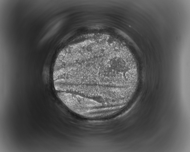 X0000087600825200705251920