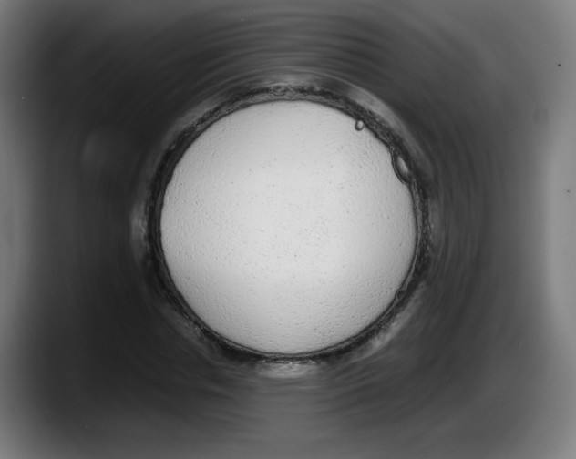 X0000087600826200705251920