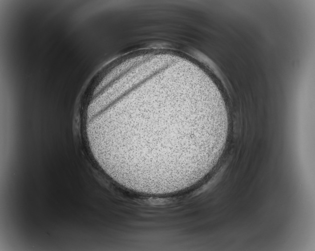 X0000087600827200705251920