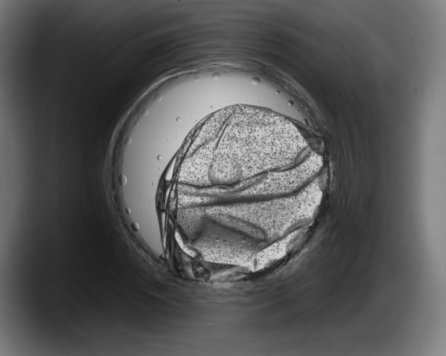 X0000087600828200705251920