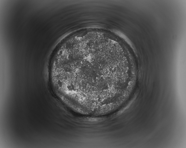 X0000087600829200705251920