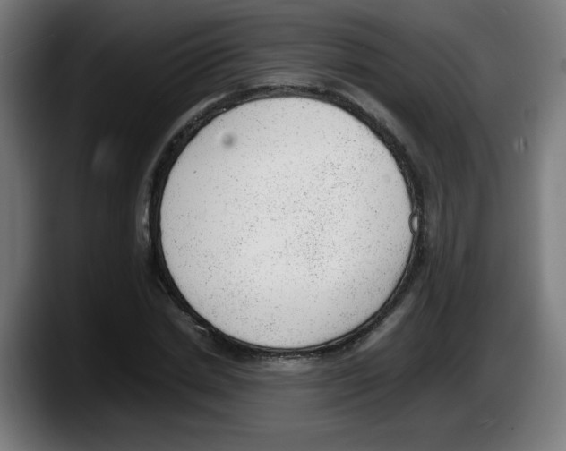 X0000087600830200705251920