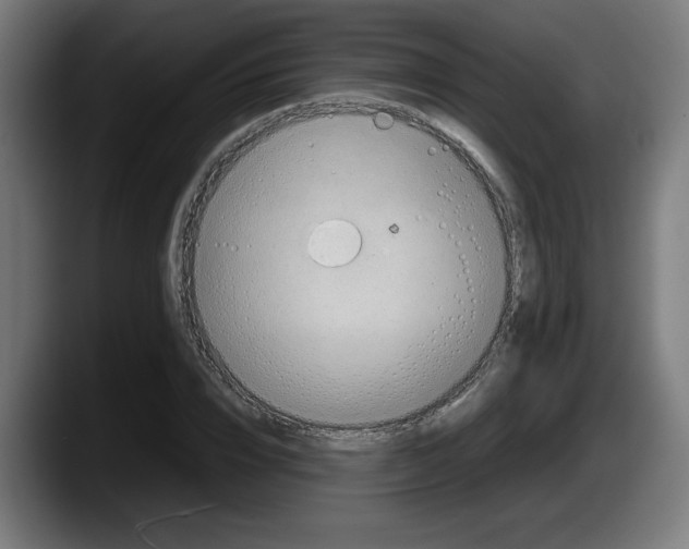 X0000087600832200705251920