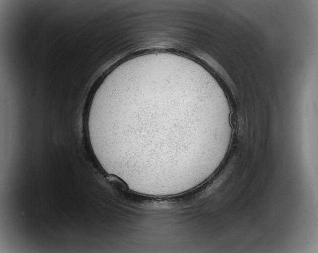 X0000087600834200705251920