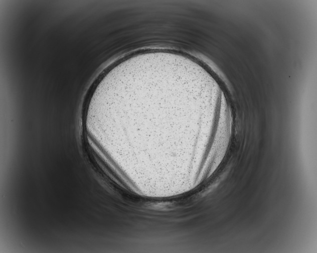 X0000087600837200705251920