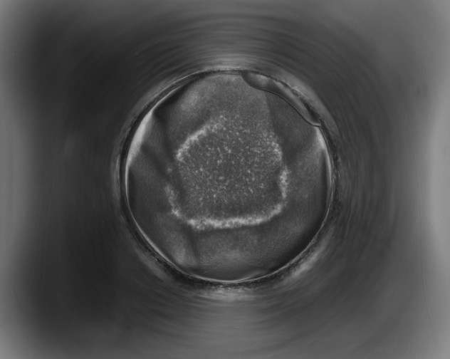 X0000087600842200705251920