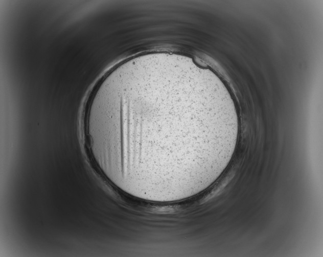 X0000087600843200705251920