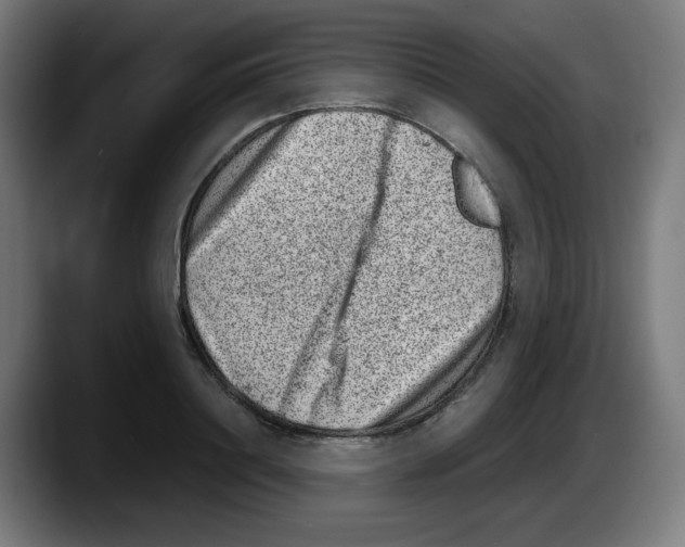 X0000087600844200705251920