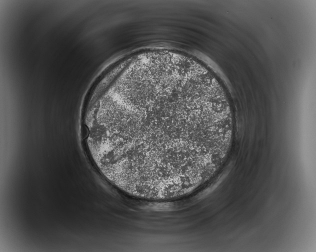 X0000087600845200705251920