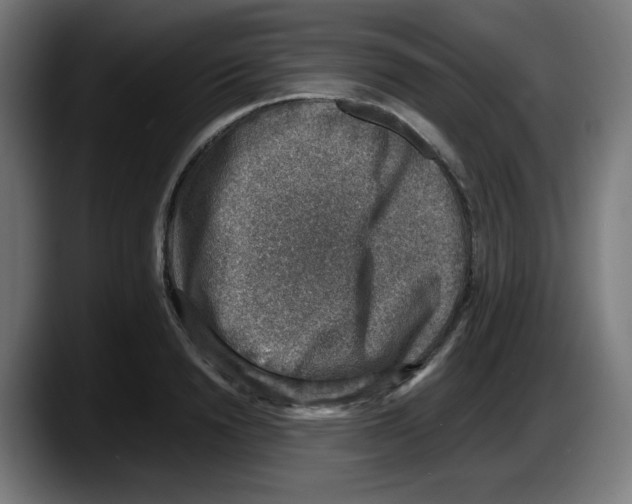 X0000087600846200705251920