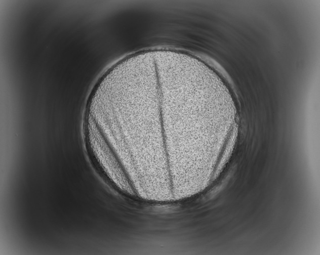 X0000087600847200705251920