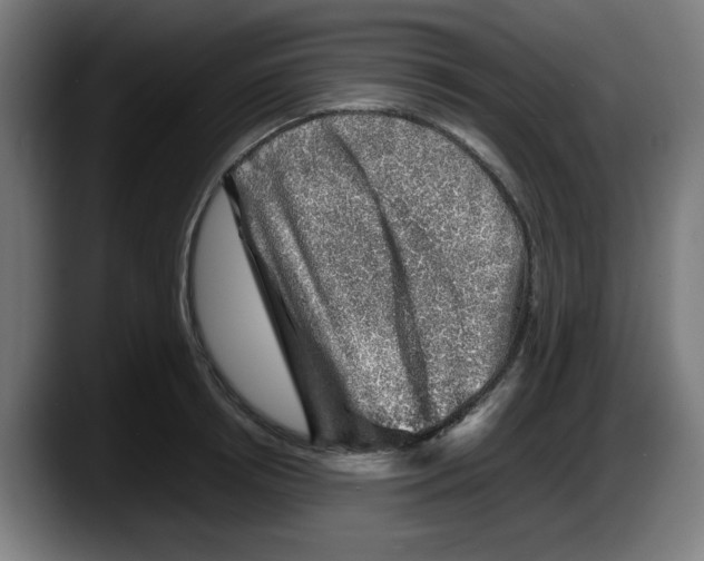 X0000087600850200705251921