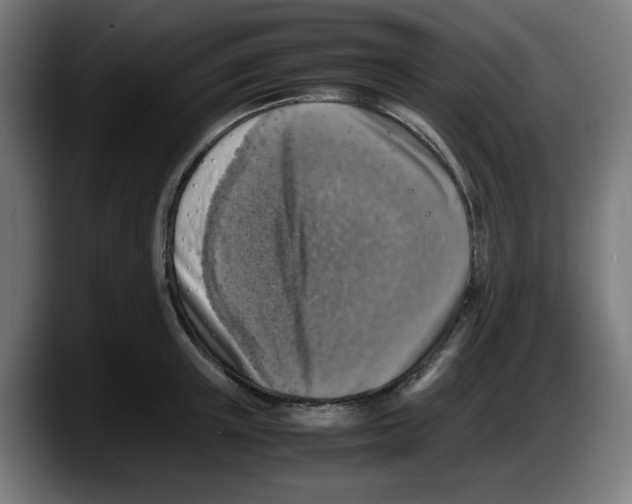 X0000087600851200705251921