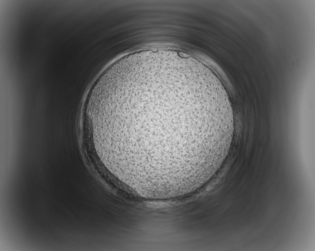 X0000087600852200705251921