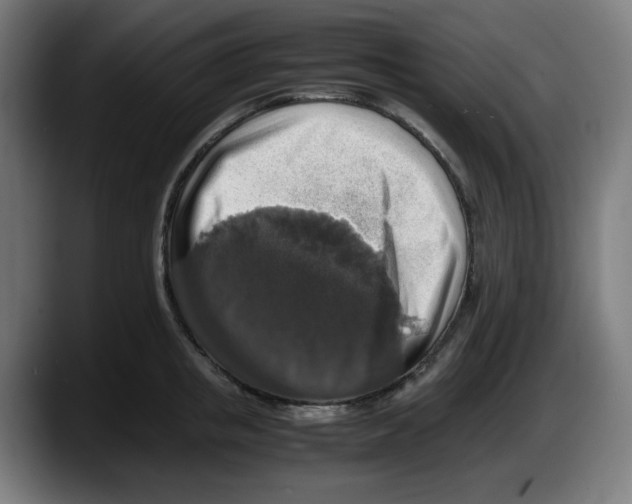 X0000087600853200705251921