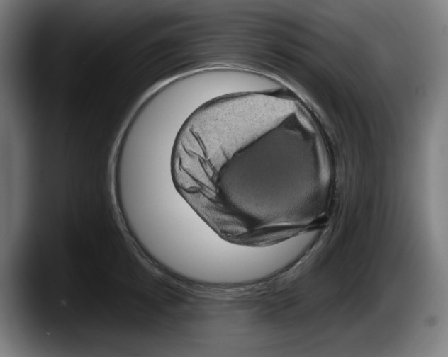 X0000087600854200705251921